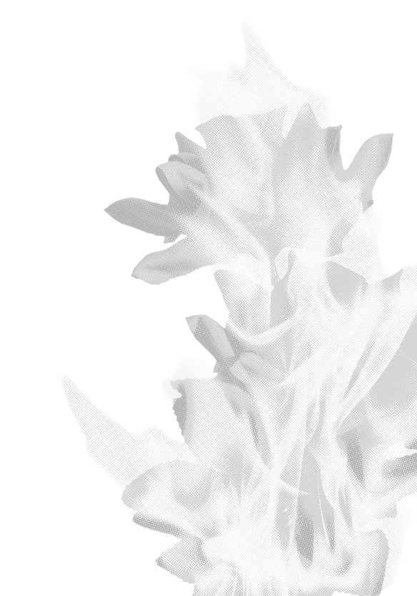 Black & White Flame Graphic